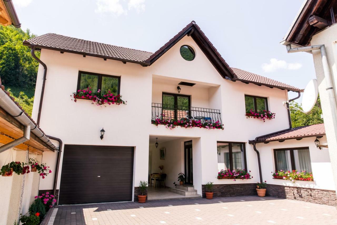 Vila Rodica Transalpina Şugag Exterior foto