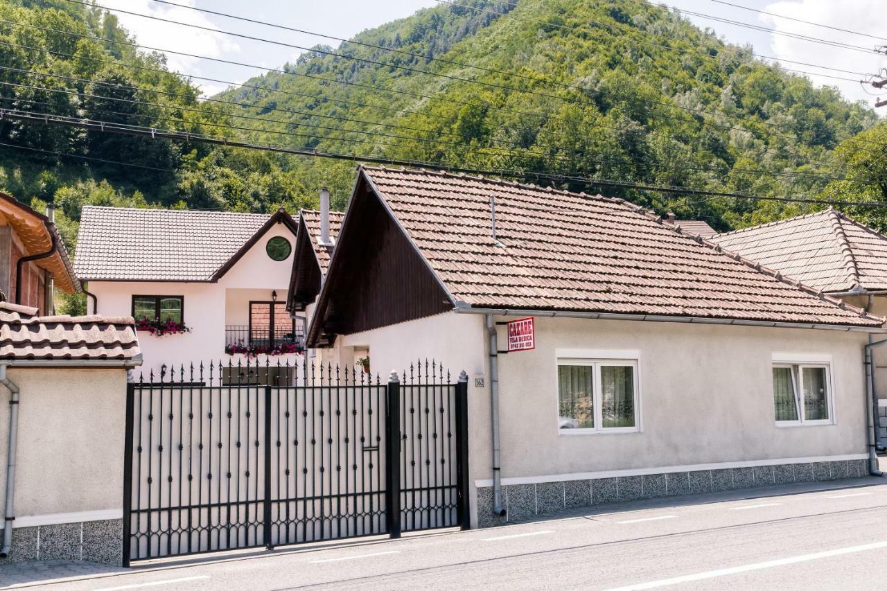 Vila Rodica Transalpina Şugag Exterior foto
