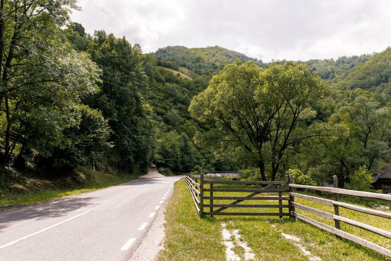 Vila Rodica Transalpina Şugag Exterior foto