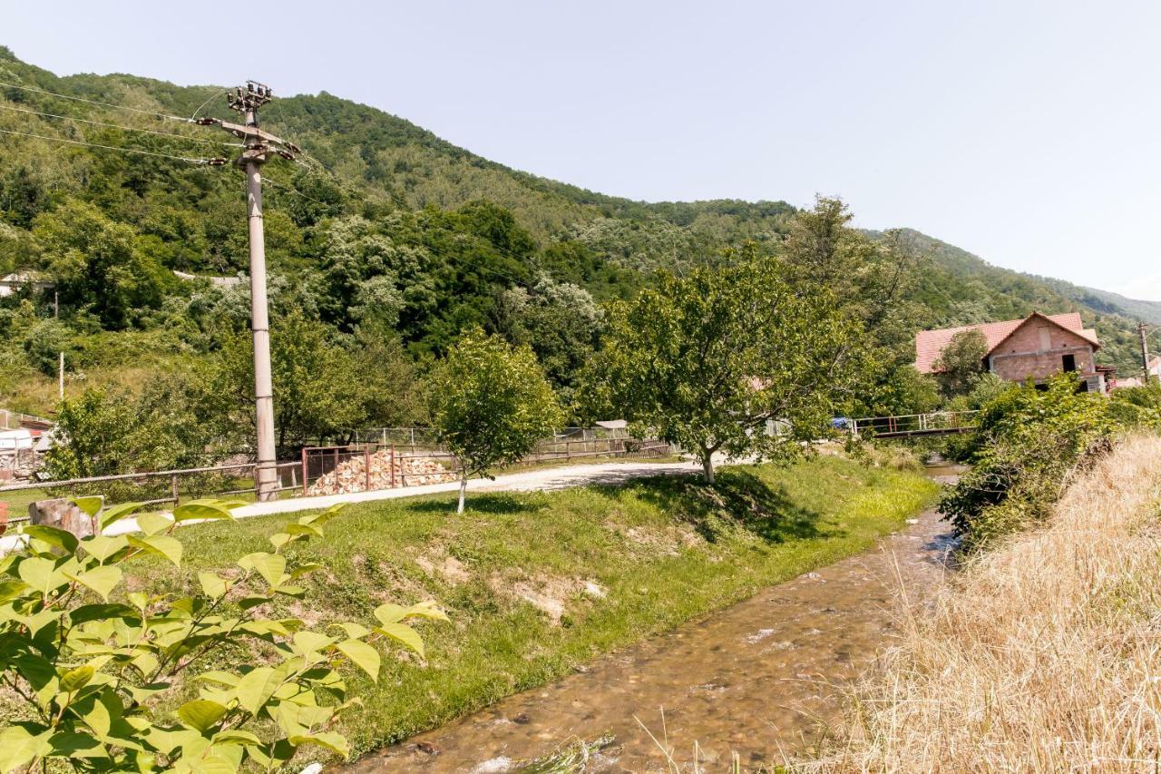 Vila Rodica Transalpina Şugag Exterior foto